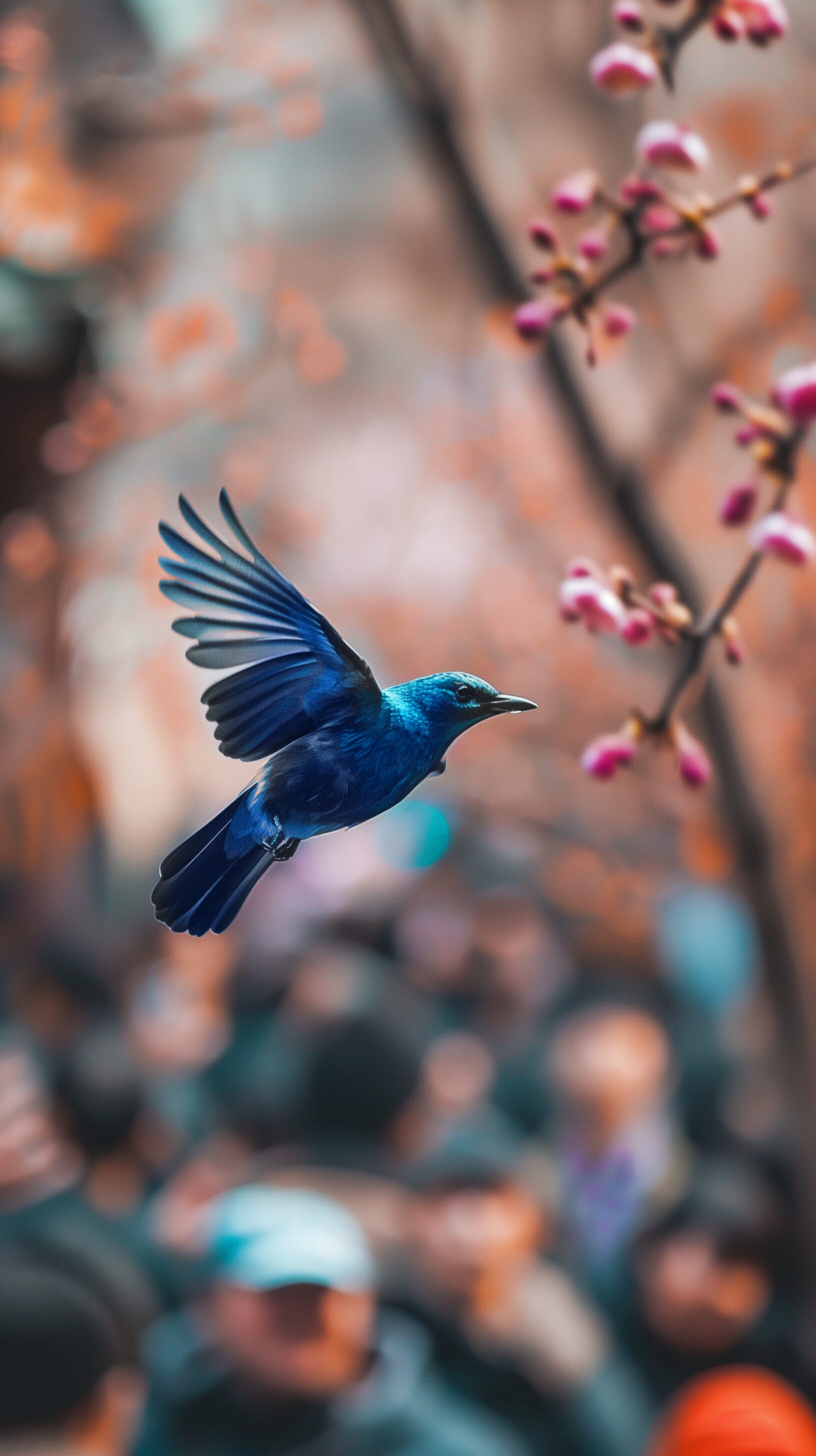 Twitter e le rivoluzioni, al Festival di Internazionale