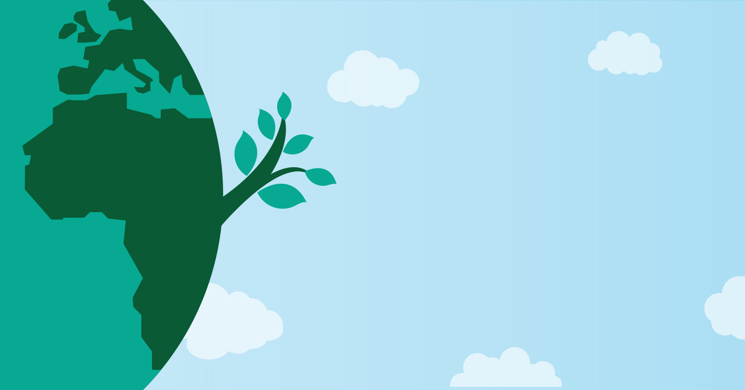 Ecodom – Social media strategy